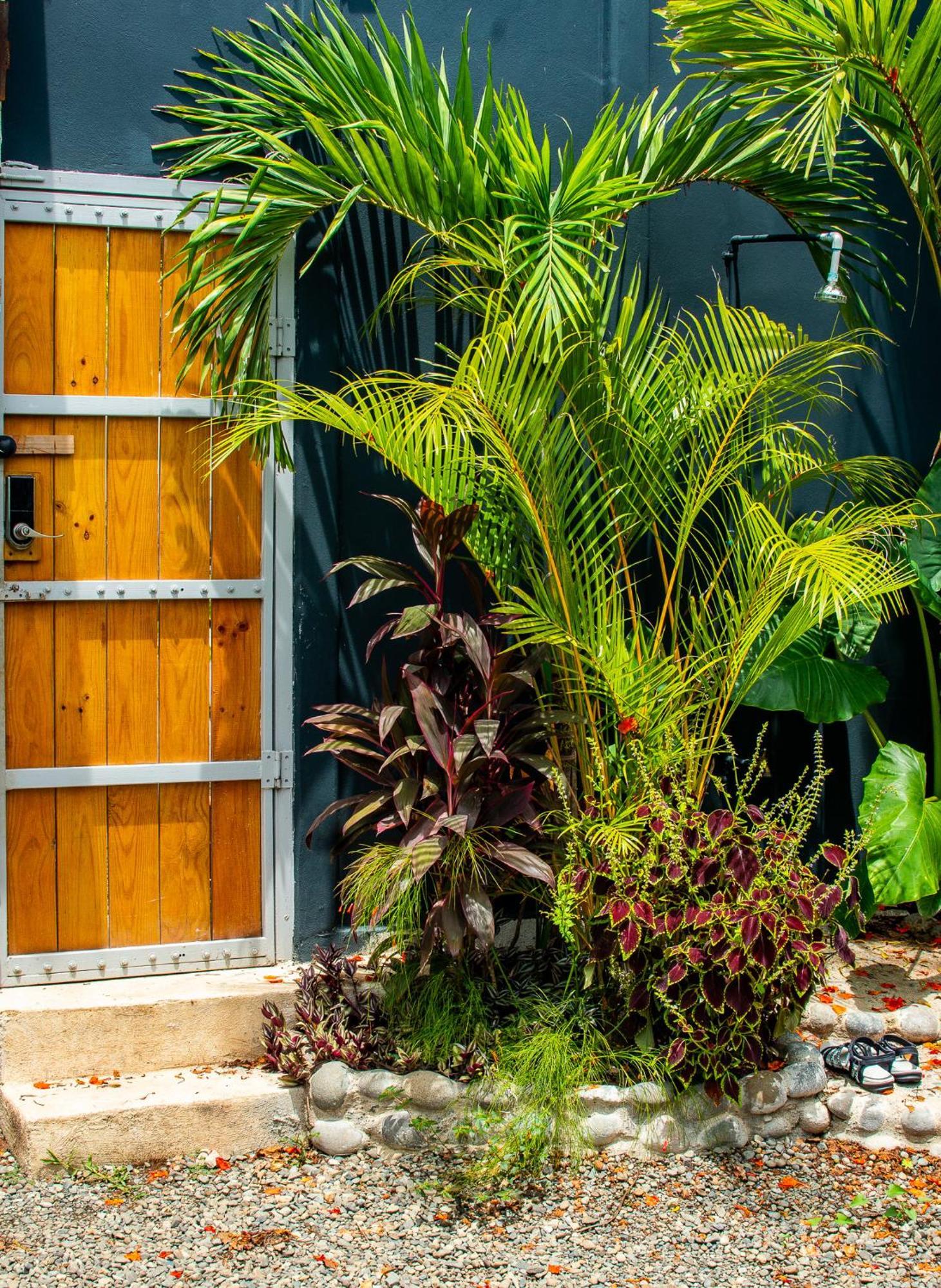 Mecca Hotel Puerto Viejo de Talamanca Luaran gambar