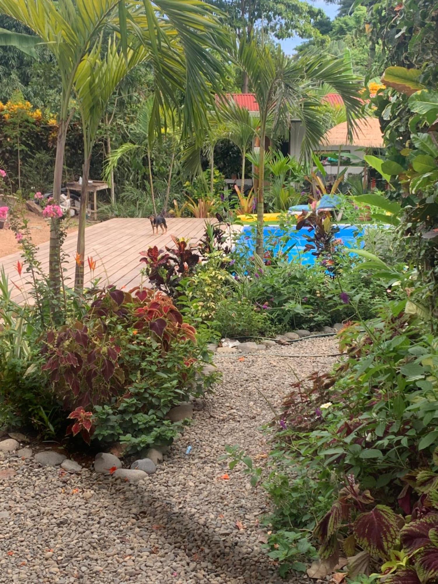 Mecca Hotel Puerto Viejo de Talamanca Luaran gambar